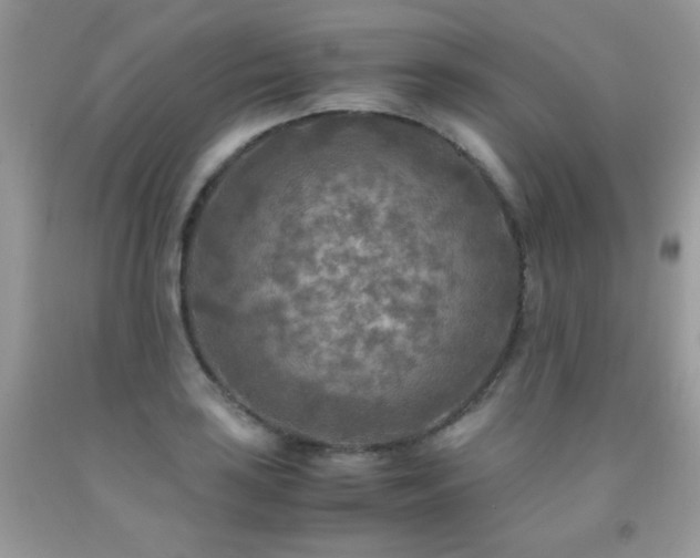 X0000091921035200709051436