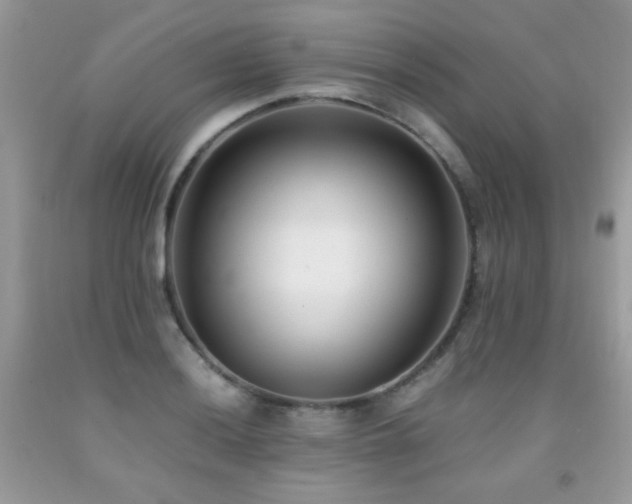 X0000091921036200709051436