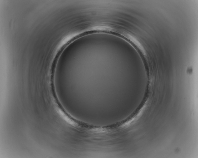 X0000091921037200709051436