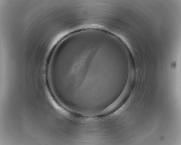 X0000091921038200709051436