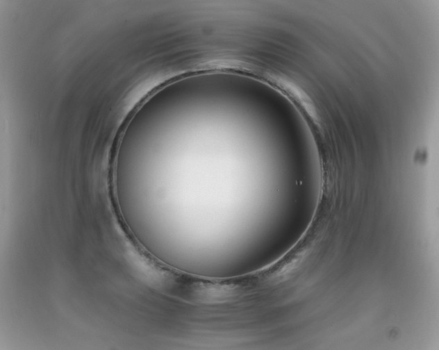 X0000091921039200709051436