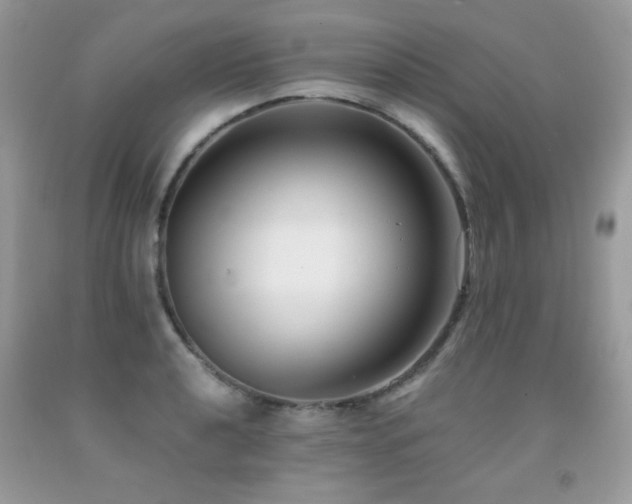 X0000091921040200709051436