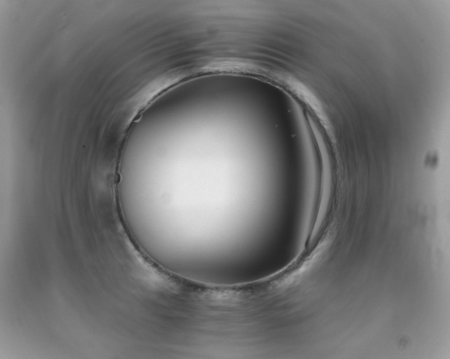 X0000091921041200709051436