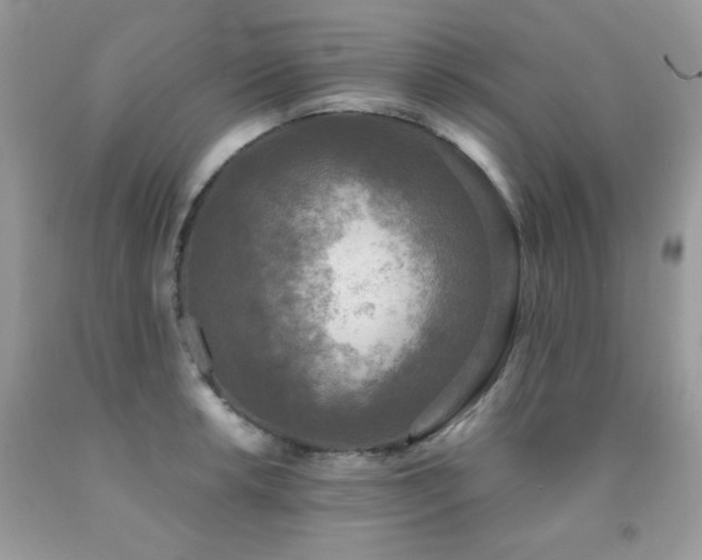 X0000091921042200709051436