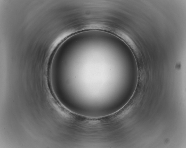 X0000091921043200709051436