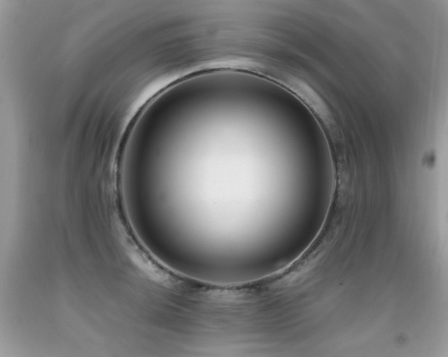 X0000091921044200709051436