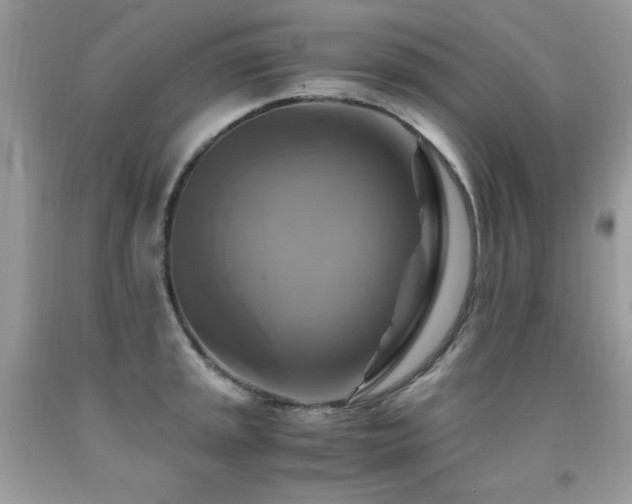 X0000091921045200709051436