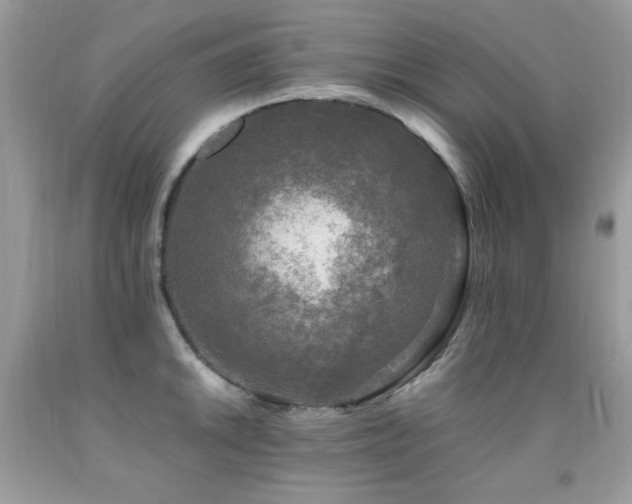 X0000091921046200709051436