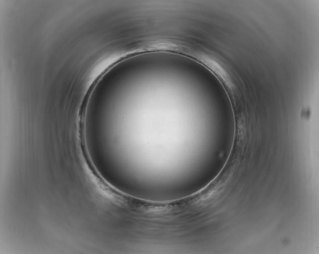 X0000091921047200709051436
