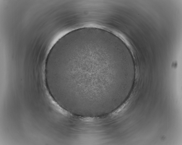 X0000091921048200709051436