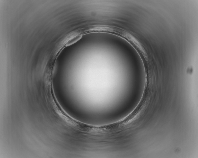 X0000091921049200709051436
