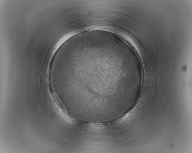 X0000091921050200709051436