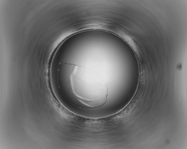 X0000091921051200709051436