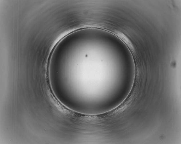 X0000091921052200709051436