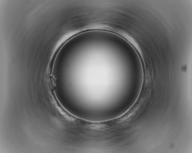 X0000091921053200709051436