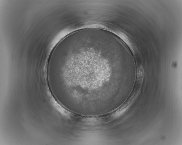 X0000091921054200709051436