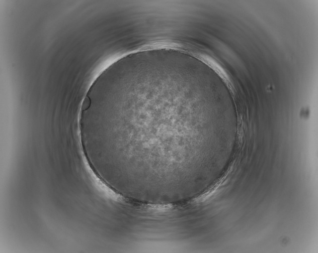 X0000091921055200709051436
