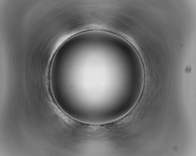 X0000091921056200709051436