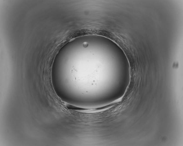 X0000091921057200709051435