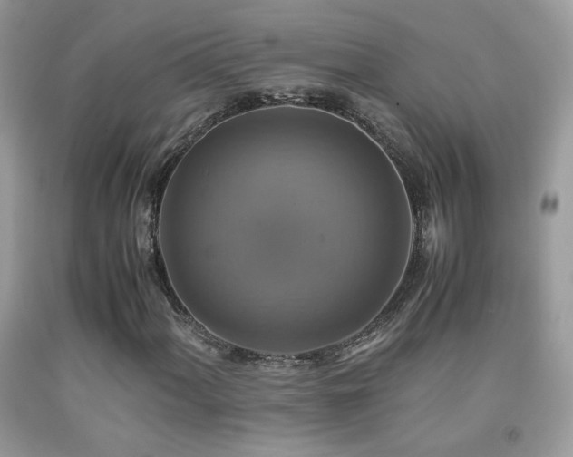 X0000091921060200709051435