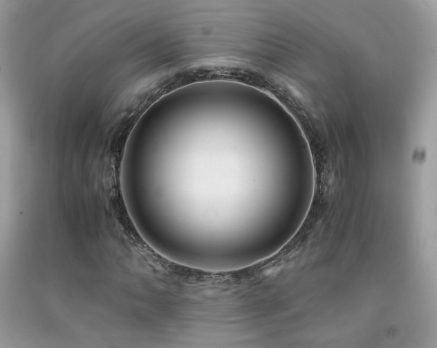X0000091921062200709051435