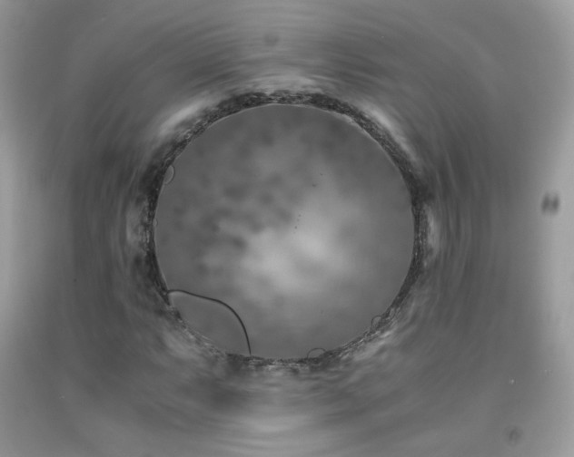 X0000091921063200709051435