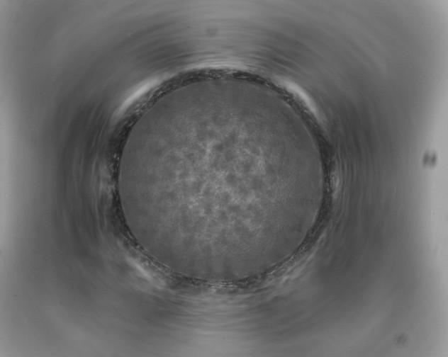 X0000091921064200709051435