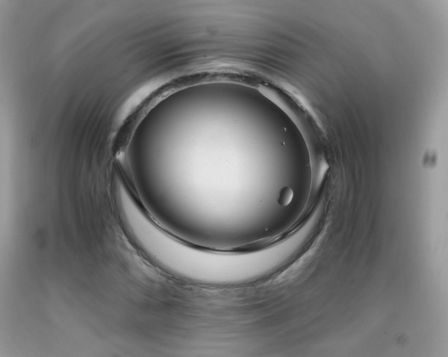 X0000091921066200709051435