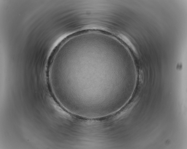 X0000091921068200709051435