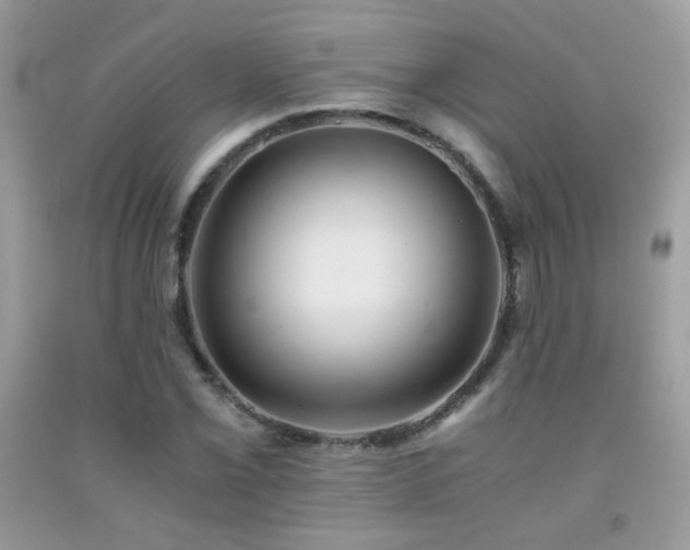 X0000091921069200709051435