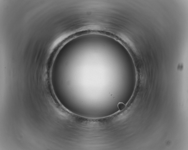 X0000091921070200709051435