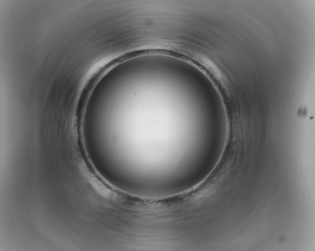 X0000091921072200709051435