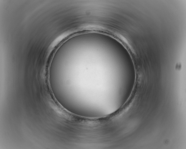 X0000091921074200709051435