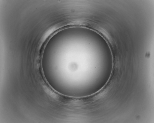 X0000091921075200709051435