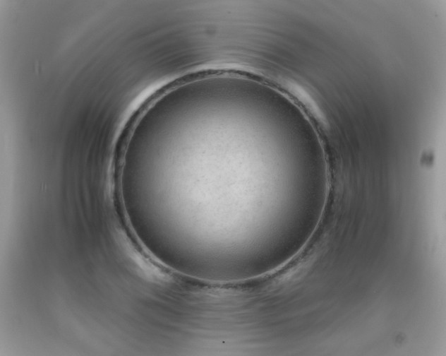 X0000091921076200709051435