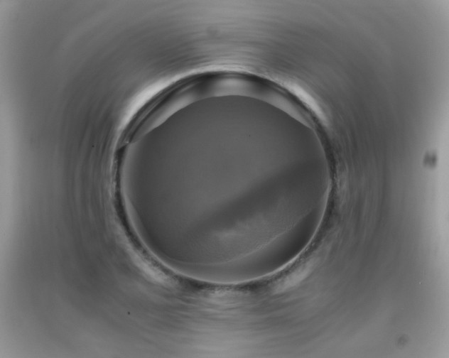 X0000091921077200709051435