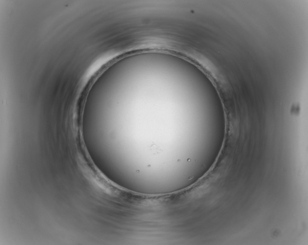 X0000091921078200709051435
