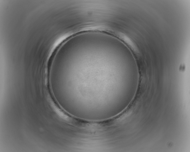 X0000091921079200709051435