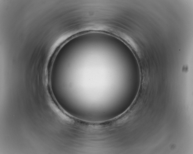 X0000091921080200709051435