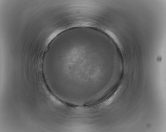 X0000091921081200709051435