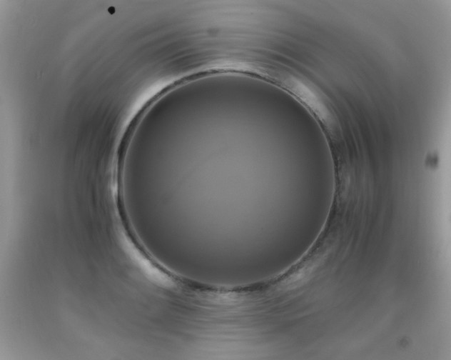 X0000091921084200709051435