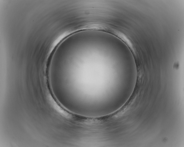 X0000091921091200709051435