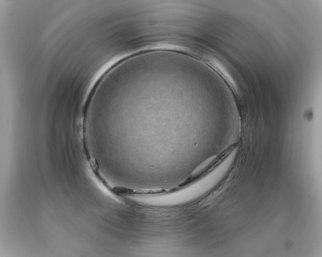 X0000091921092200709051435