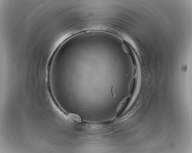 X0000091921095200709051435