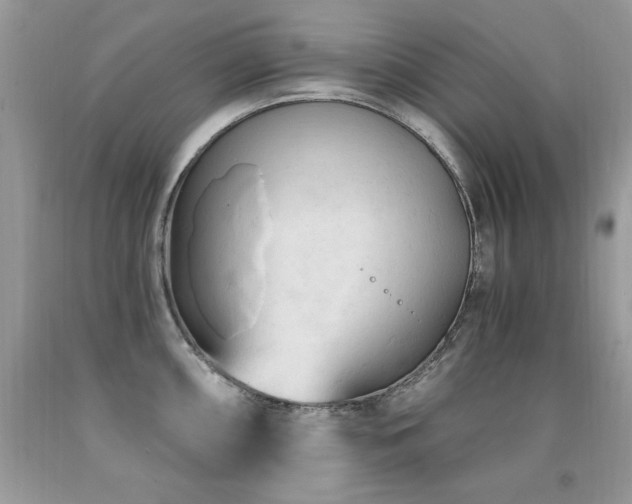 X0000091921098200709051435