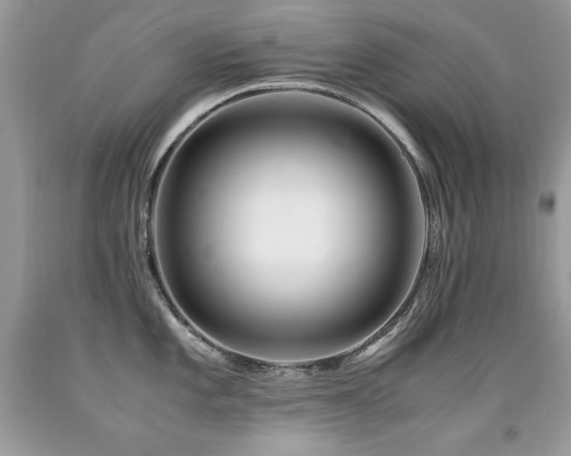 X0000091921101200709051435