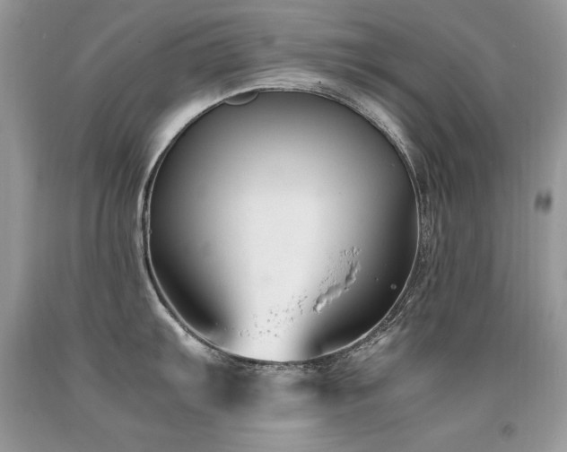 X0000091921103200709051435