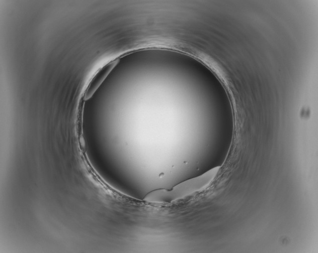 X0000091921104200709051435
