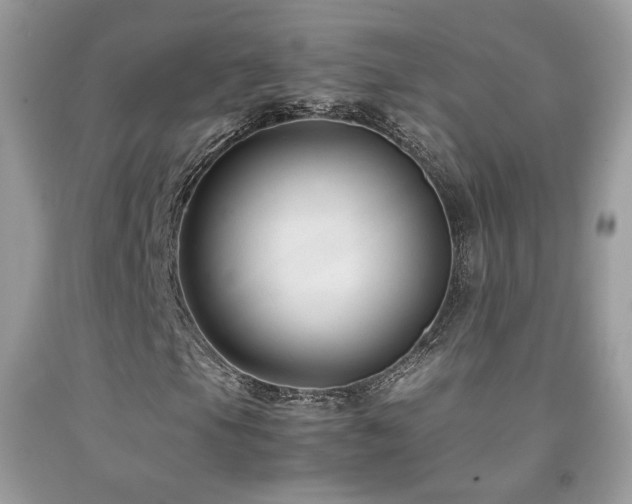 X0000091921105200709051434