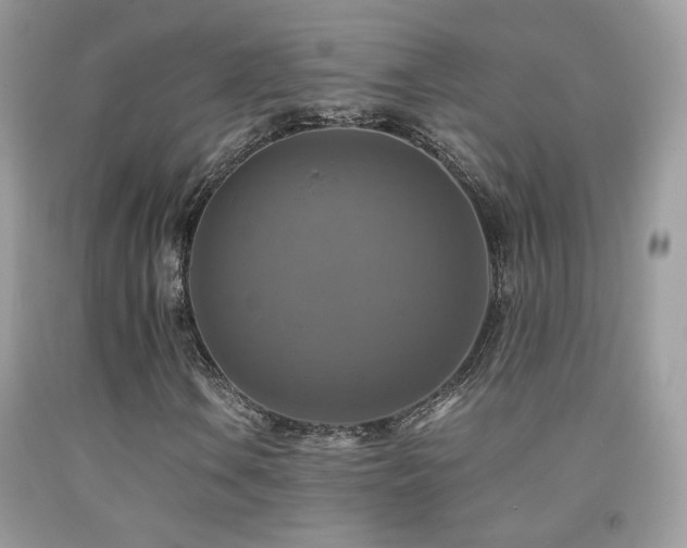 X0000091921106200709051434